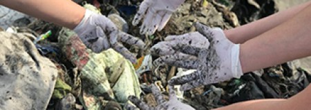 Restore Biodiversity